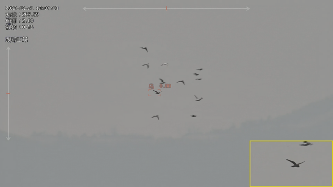 отслеживание 